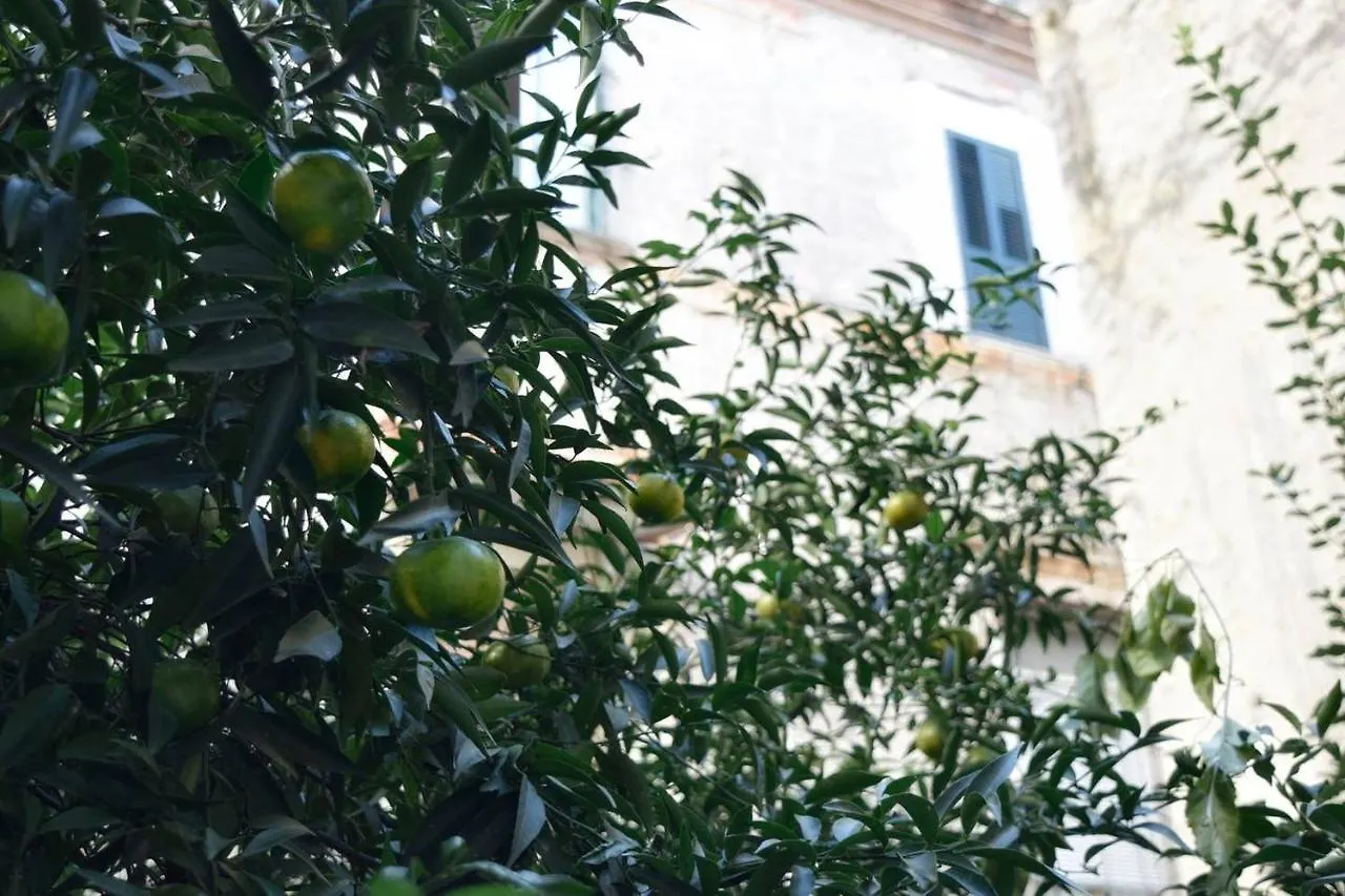Giardino D'Atri Apartment Naples 0*,  Italy